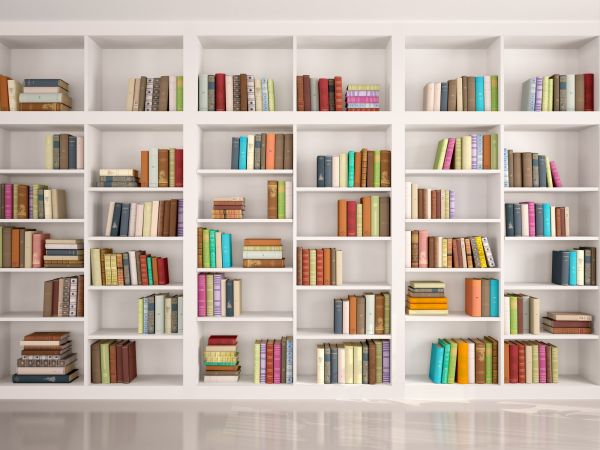 Bookshelf Assembly in Smyrna