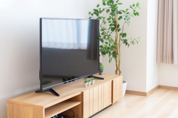 TV Stand Assembly in Smyrna